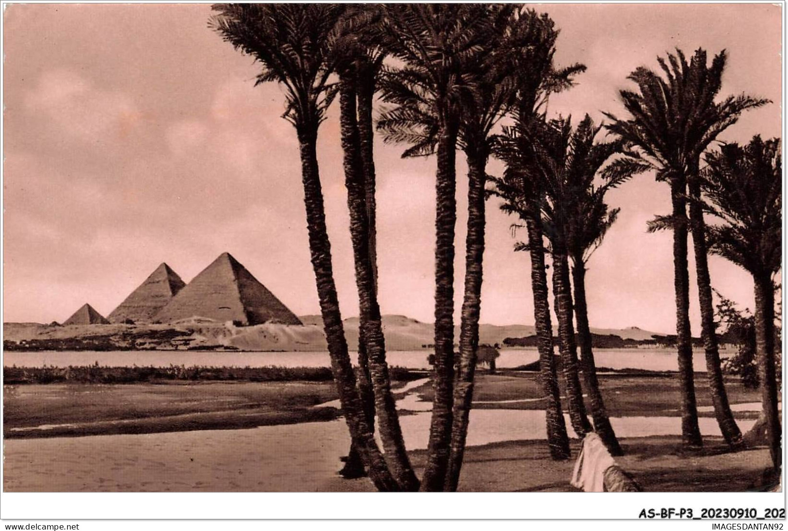 AS#BFP3-1068 - Egypte - Distant View Of Giza Pyramids - Gizeh
