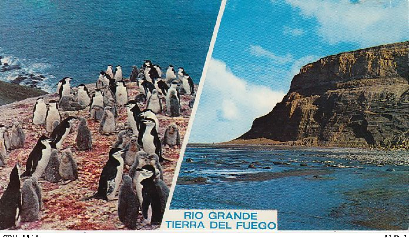 Argentina Postcard Rio Grande Terra Del Fuego Unused (59789) - Argentina