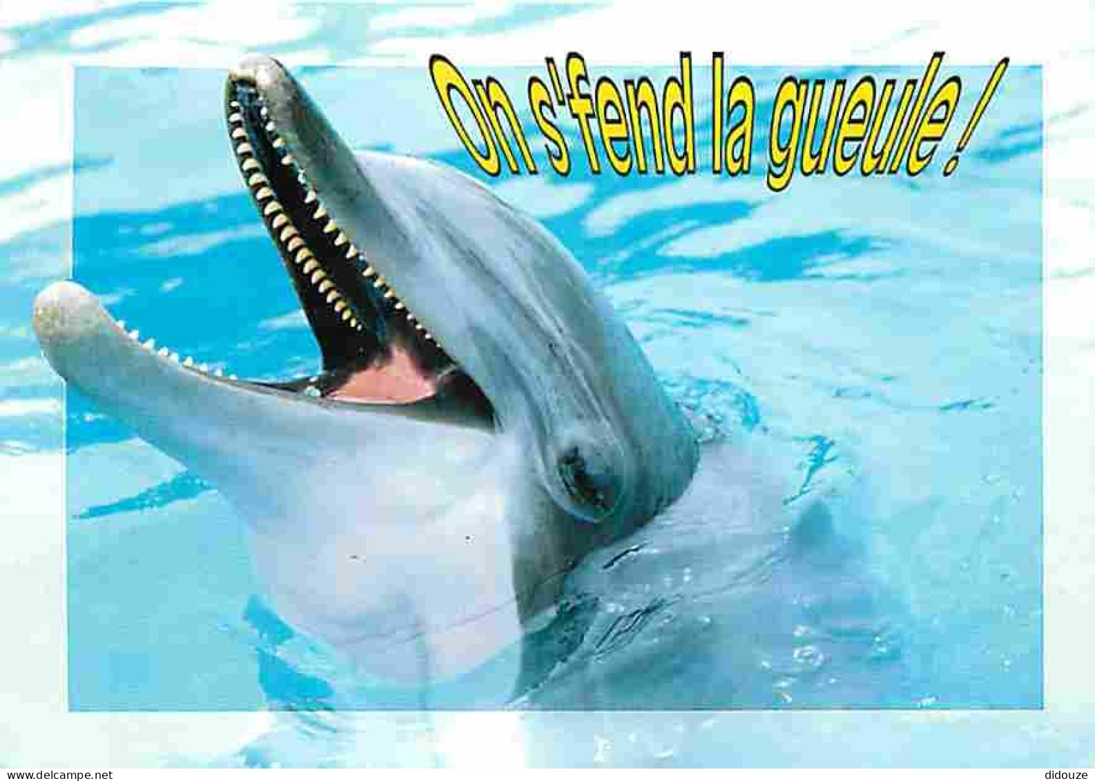 Animaux - Dauphins - CPM - Voir Scans Recto-Verso - Delfines