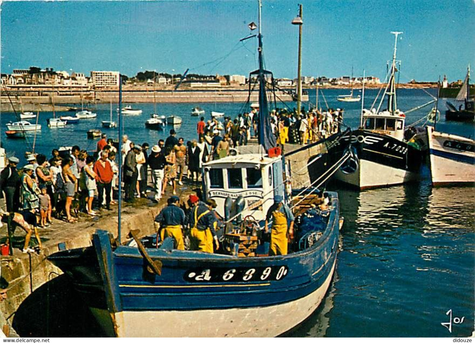 56 - Presqu'Ile De Quiberon - CPM - Voir Scans Recto-Verso - Quiberon