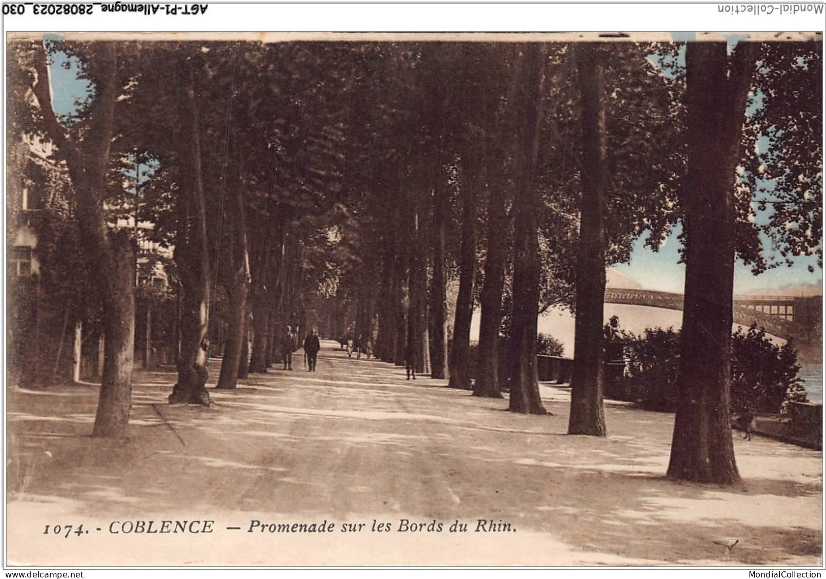 AGTP1-0016-ALLEMAGNE - COBLENCE - Promenade Sur Les Bords Du Rhin - Koblenz