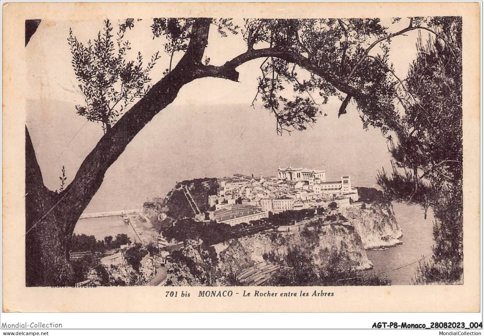 AGTP8-0547-MONACO - Le Rocher Entre Les Arbres  - Mehransichten, Panoramakarten