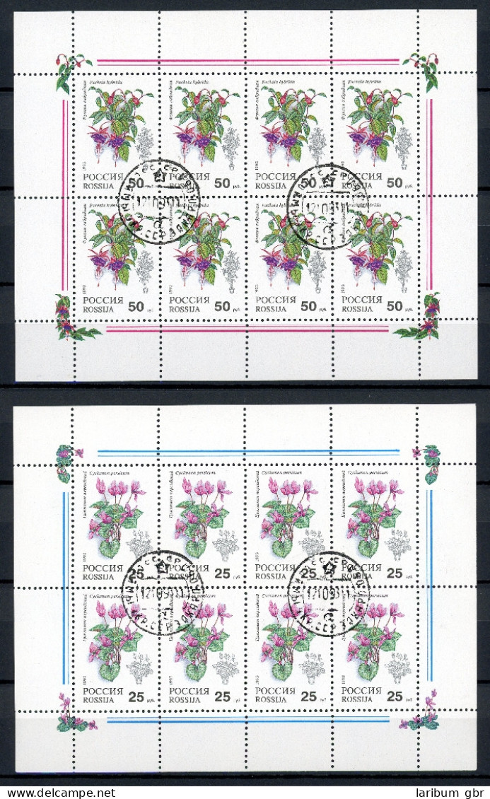 Russland Kleinbogen 298-299 Gestempelt Blumen #HX210 - Sonstige & Ohne Zuordnung