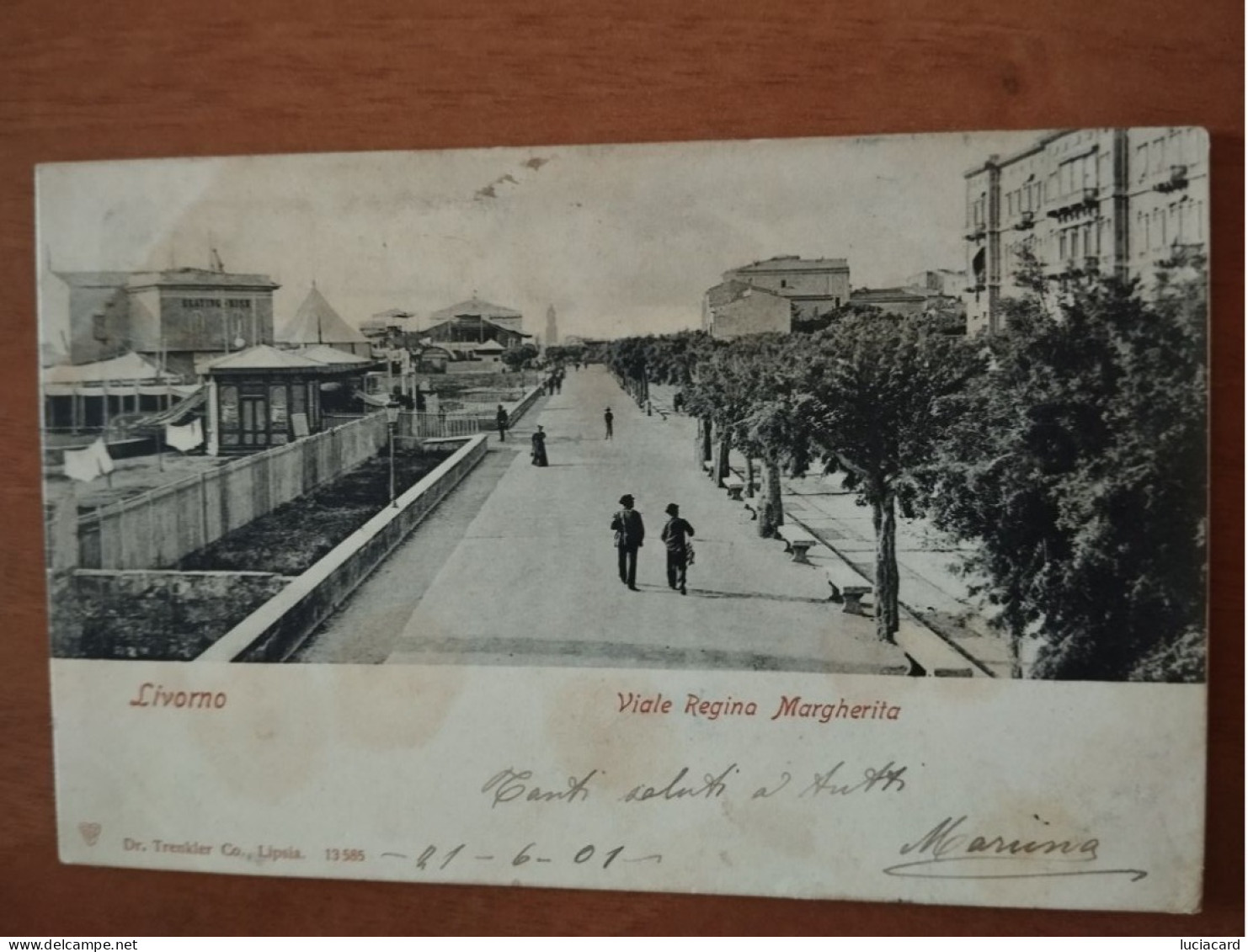 LIVORNO -VIALE REGINA MARGHERITA 1901 - Livorno