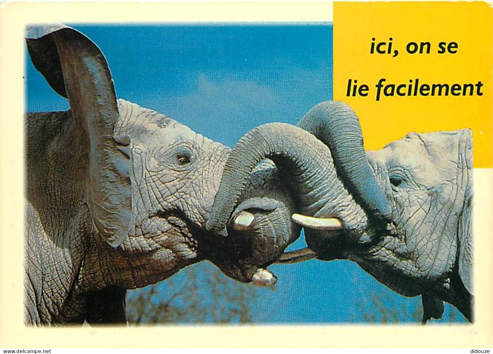 Animaux - Eléphants - Carte Humoristique - CPM - Voir Scans Recto-Verso - Éléphants