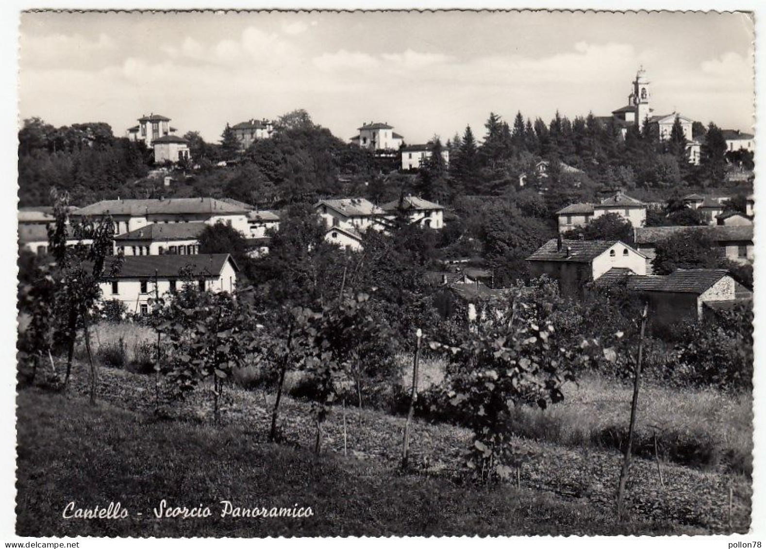 CANTELLO - SCORCIO PANORAMICO - VARESE - 1952 - Varese