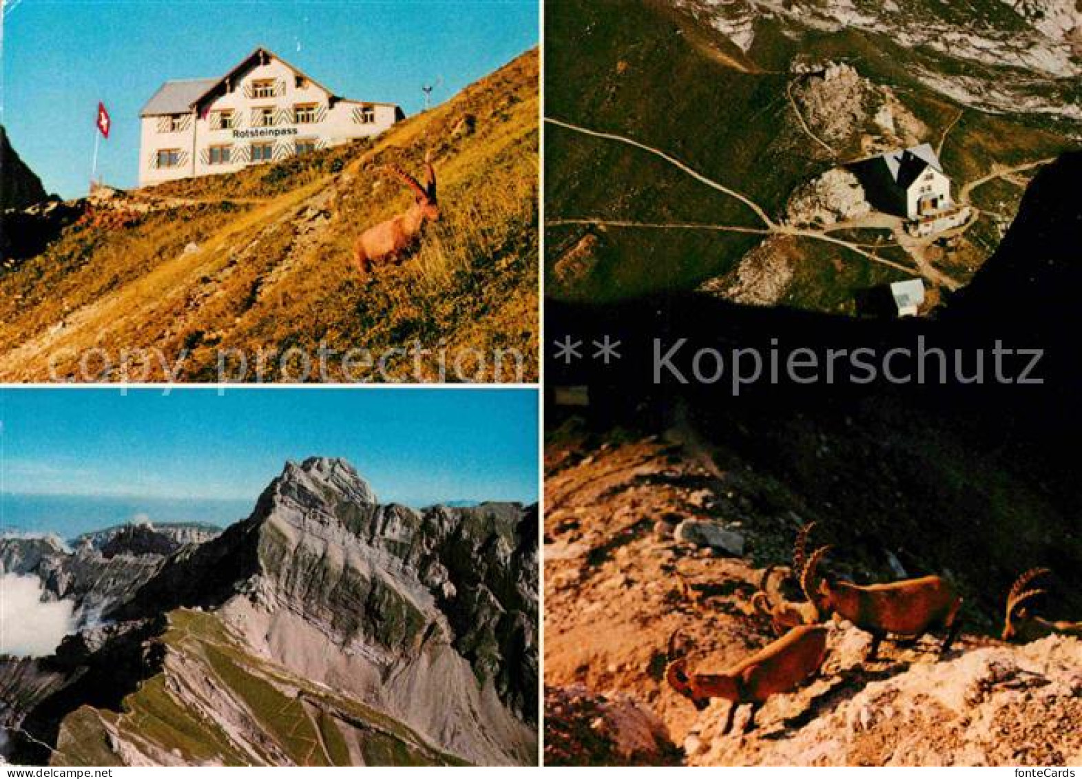 12780429 Weissbad Berggasthaus Rotsteinpass Steinwild Am Altmann Gebirgspanorama - Andere & Zonder Classificatie