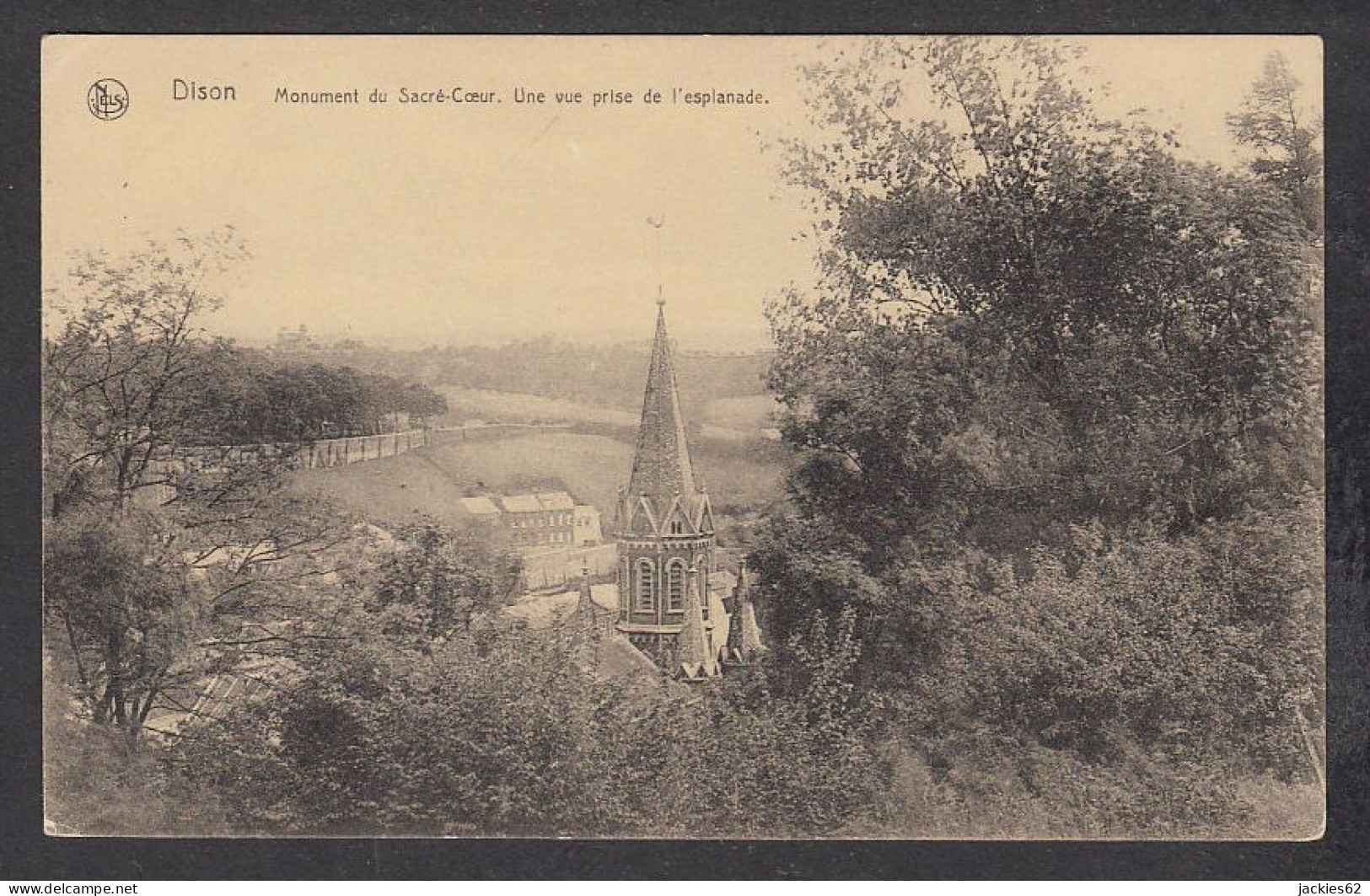 105022/ DISON, Monument Du Sacré-Coeur, Vue Prise De L'esplanade - Dison