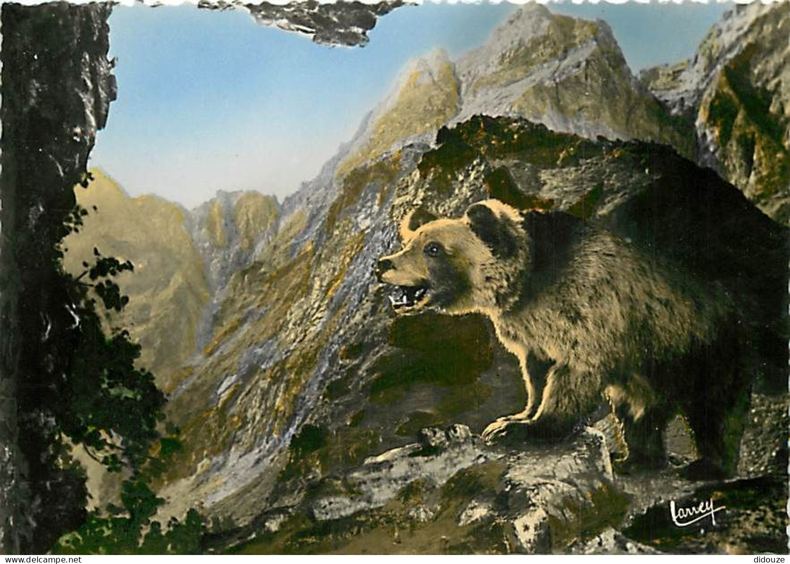 Animaux - Ours - Ours Des Pyrénées - Bear - Carte Dentelée - CPSM Grand Format - Carte Neuve - Voir Scans Recto-Verso - Ours