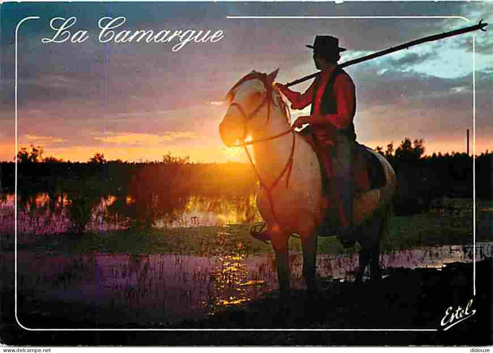 Animaux - Chevaux - Camargue - Gardian Le Soir Dans Les Marais - CPM - Voir Scans Recto-Verso - Chevaux