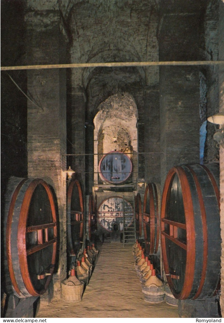 CARTOLINA  C14 MONTEPULCIANO,SIENA,TOSCANA-CANTINE DEI REDI-CULTURA,RELIGIONE,IMPERO ROMANO,BELLA ITALIA,VIAGGIATA 1974 - Siena