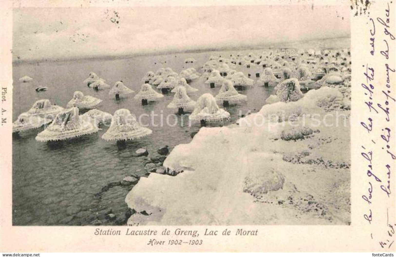 12661537 Greng Lac De Morat Hiver 1902-1903 Greng - Sonstige & Ohne Zuordnung