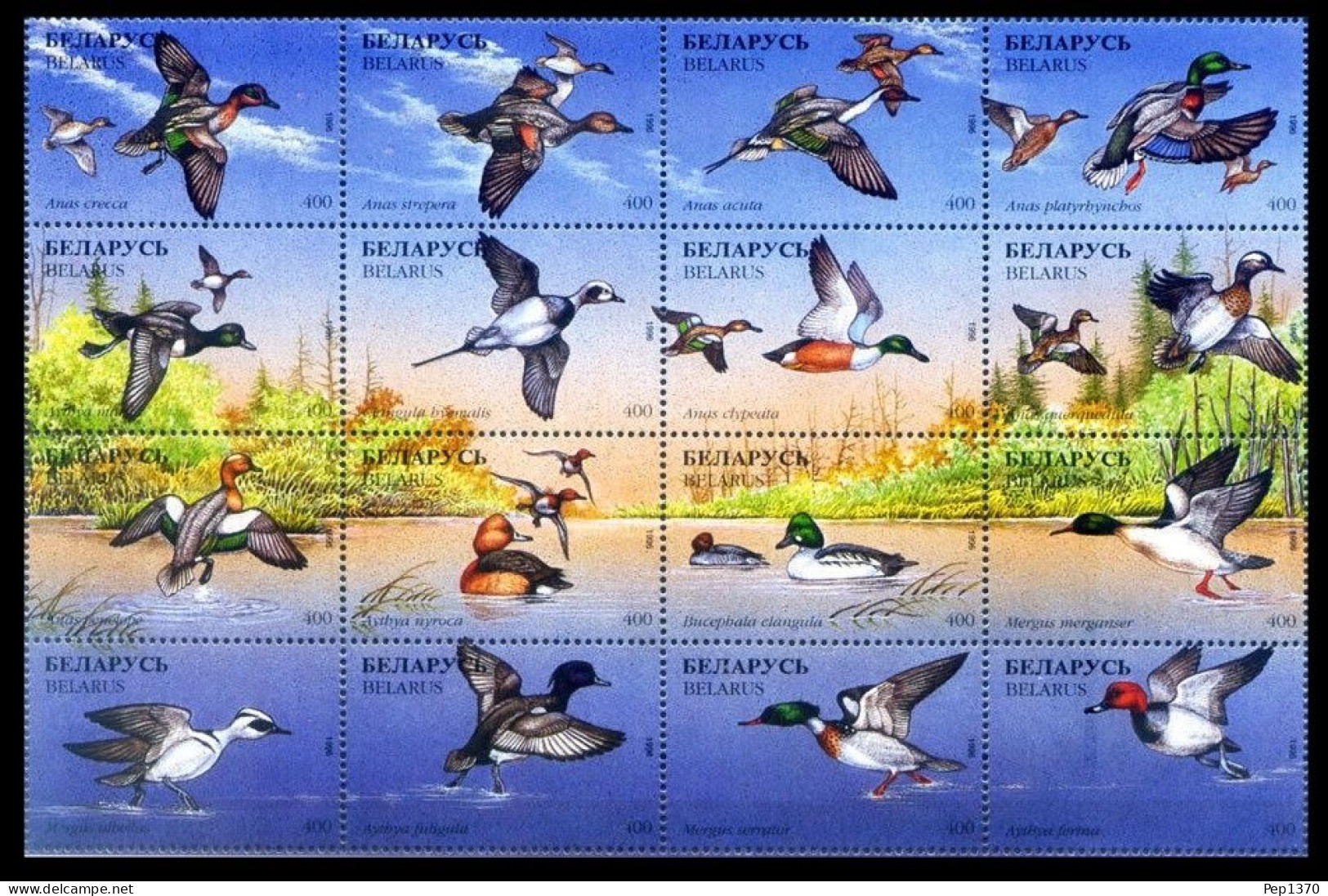 BIELORUSIA 1996 - BELARUS - FAUNA - PAJAROS - PATOS - YVERT 135/150** - Belarus