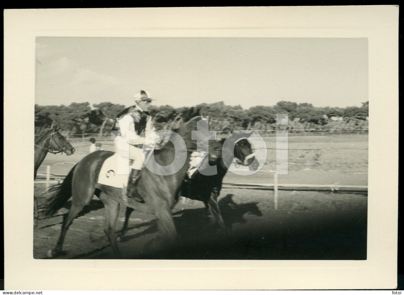 3 PHOTOS SET1955 REAL AMATEUR PHOTO FOTO CORRIDA CAVALOS COURSE CHEVAUX CHEVAL HORSE RACE HORSES CASCAIS PORTUGAL AT105 - Sports