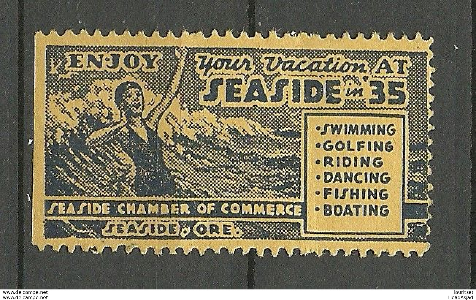 USA Vacation At Seaside Vignette Advertising Poster Stamp Reklamemarke MNH Swinnming Golfing Etc. NB! Vertical Fold! - Vignetten (Erinnophilie)