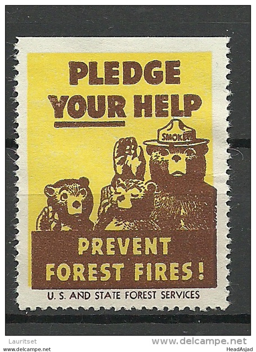 USA 1938 Vignette Prevent Forest Fires Usa And State Forest Services (*) - Erinnophilie