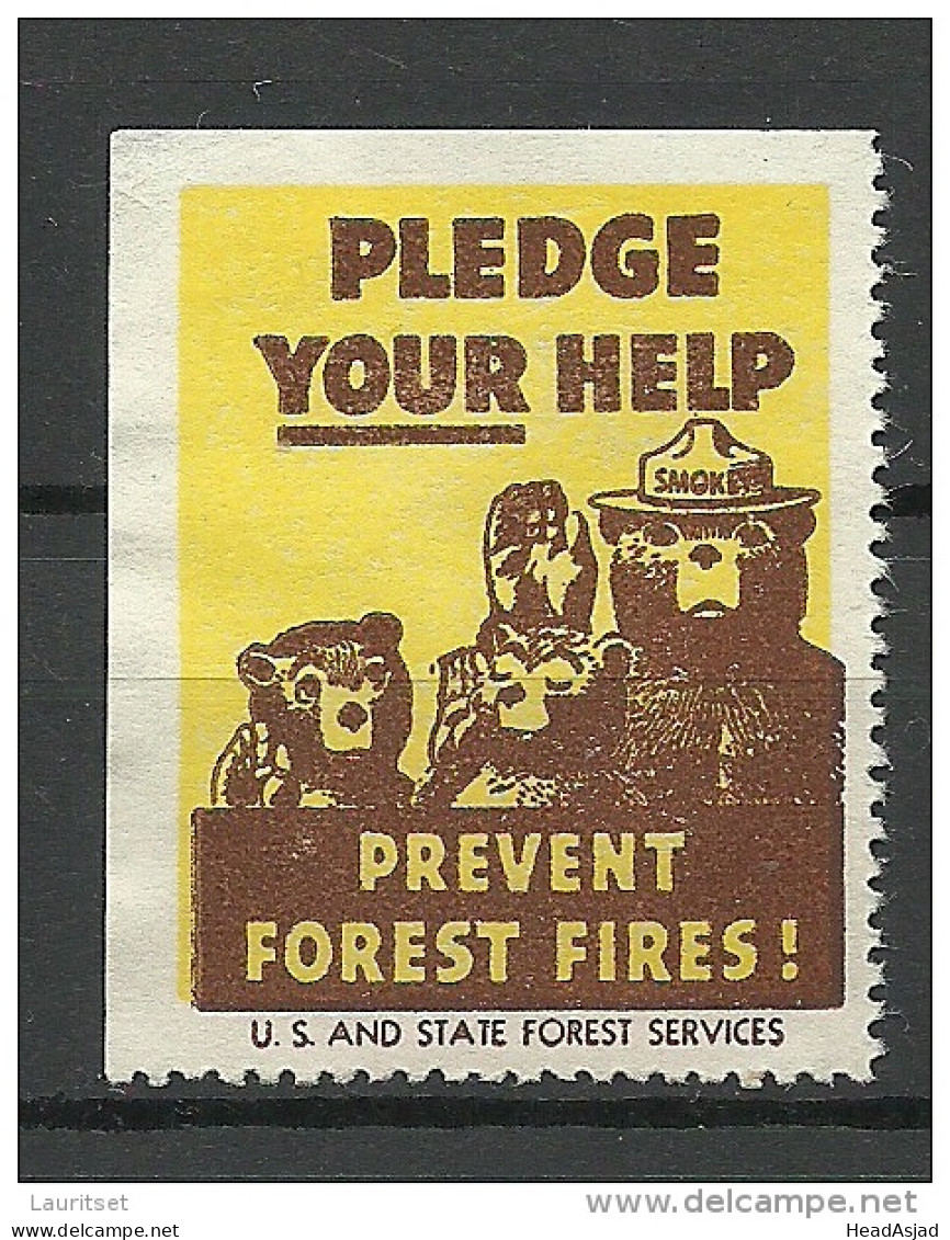 USA 1938 Vignette Prevent Forest Fires Usa And State Forest Services (*) - Erinnophilie