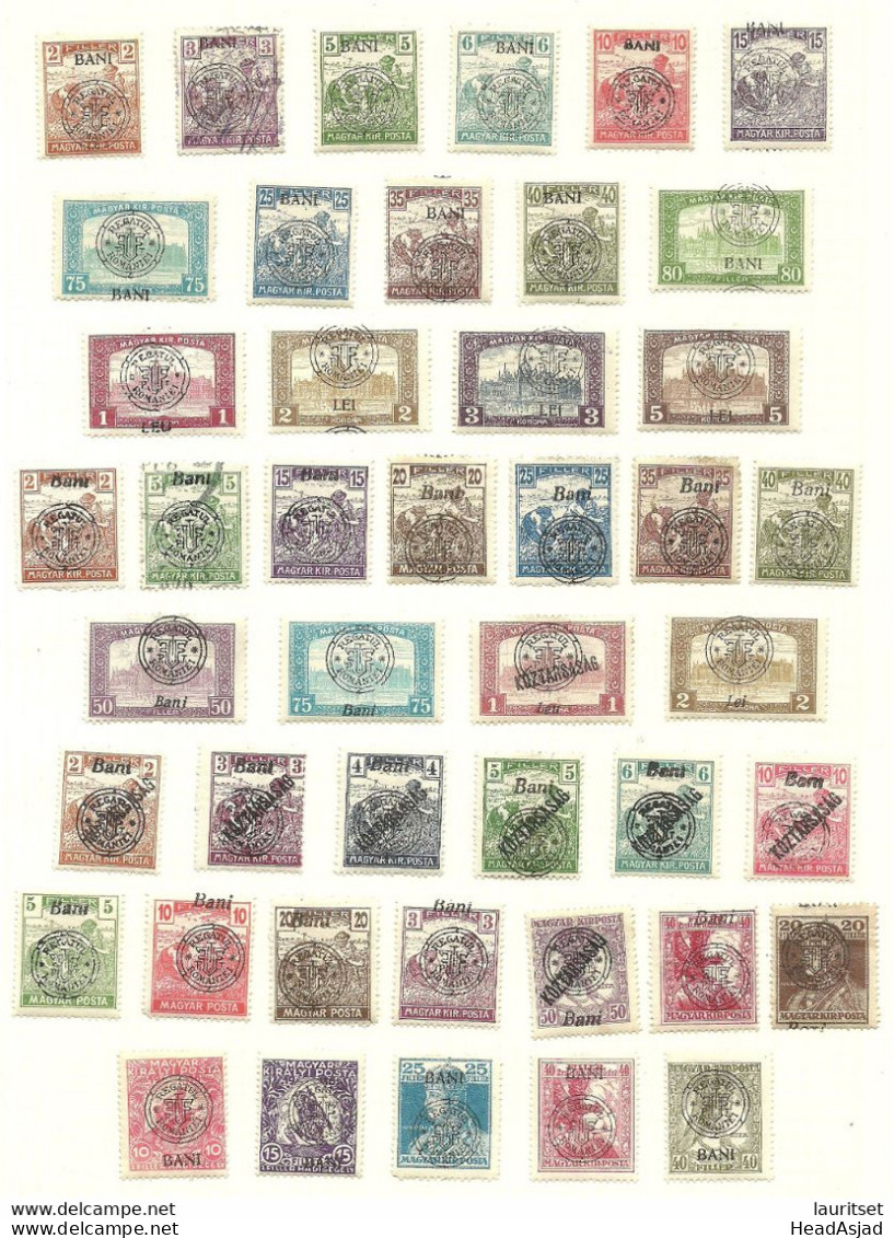 New ROMANIA ROMANA Siebenbürgen Neu-Rumänien 1919 Lot OPT Stamps On Page, Lightly Hinged * (couple Of Stamps Are Used/o) - Transylvania