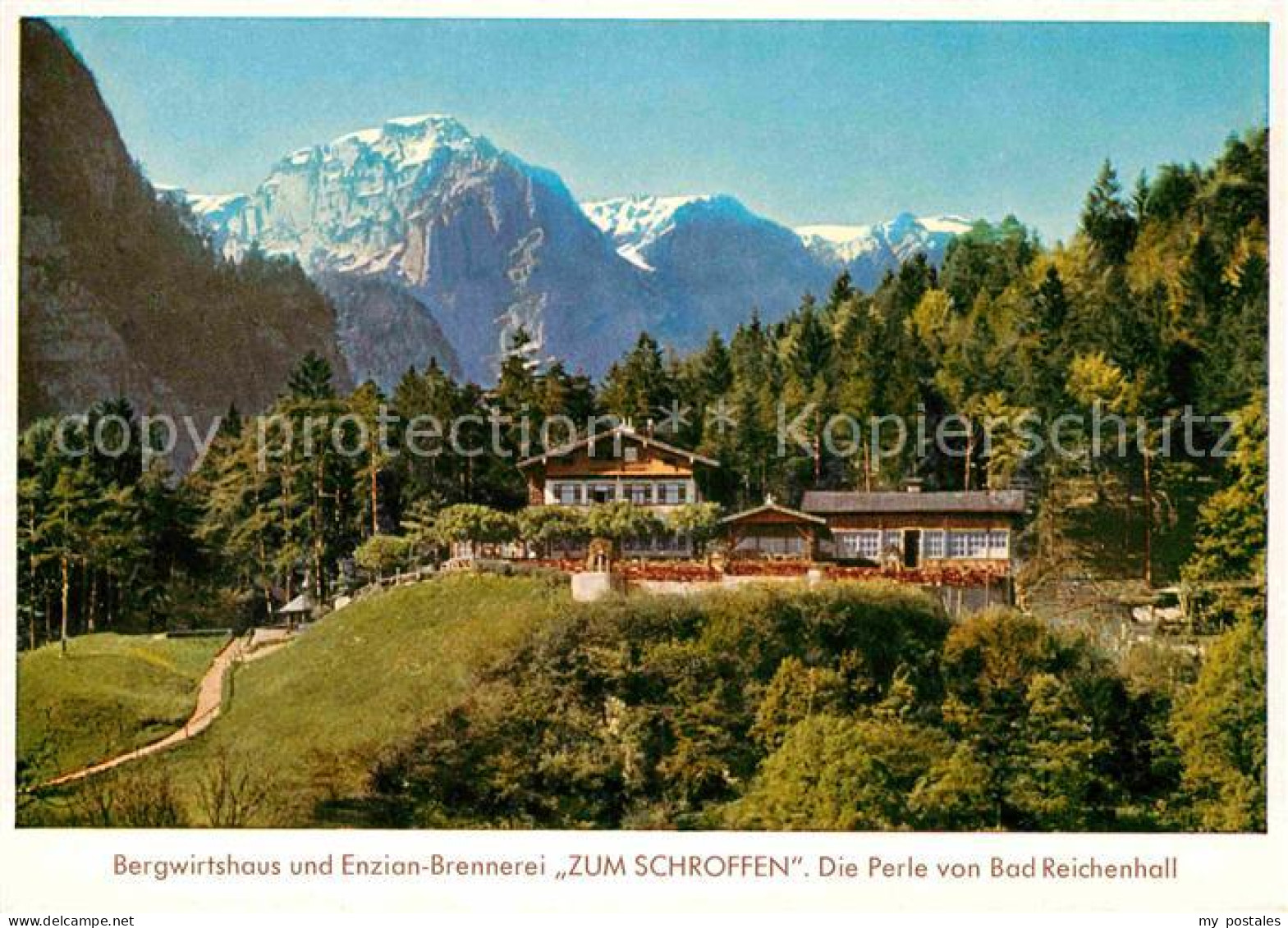 72755233 Bad Reichenhall Bergwirtshaus Und Enzian Brennerei Zum Schroffen Alpenp - Bad Reichenhall