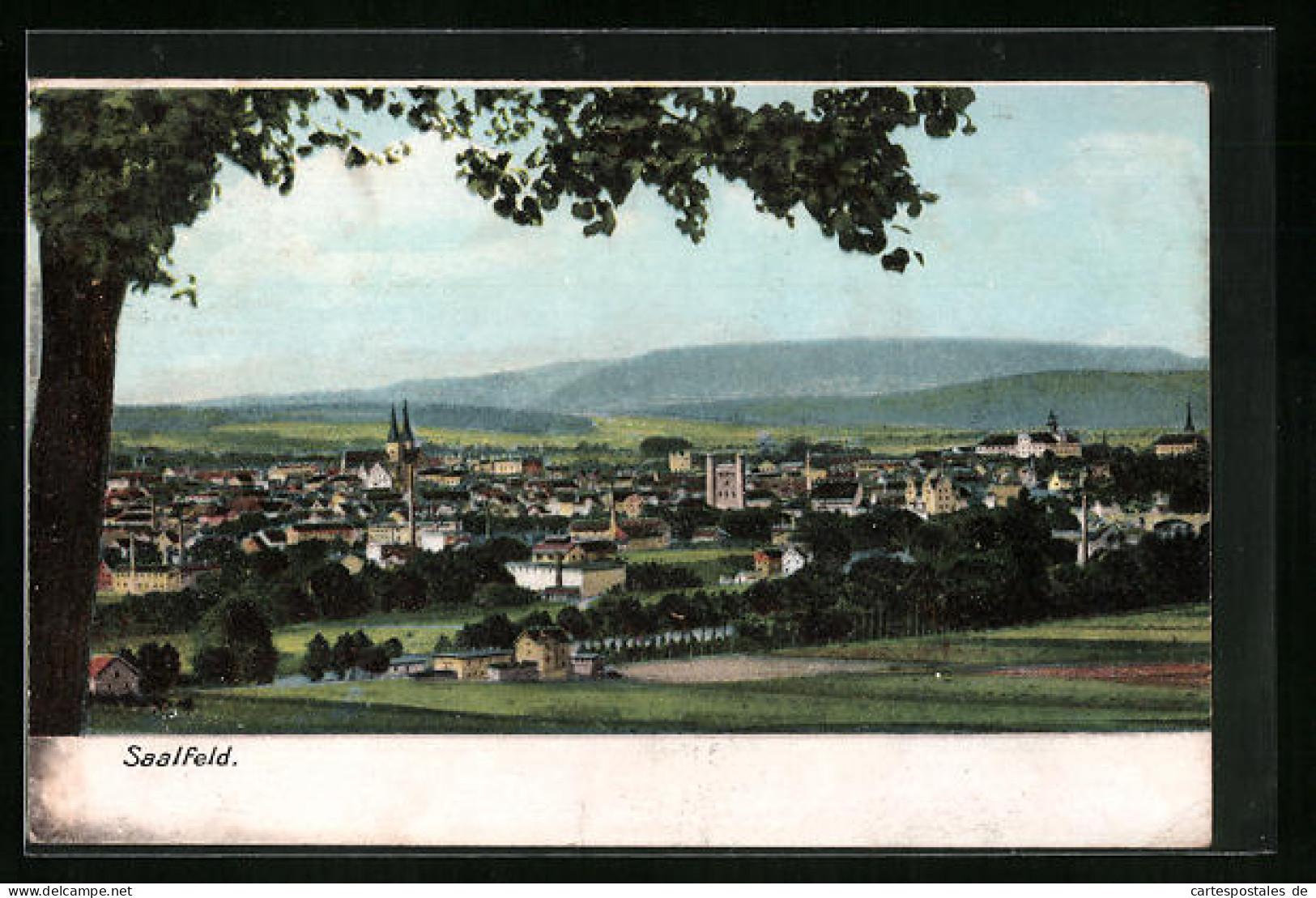 AK Saalfeld A. Saale, Generalansicht Der Stadt  - Saalfeld