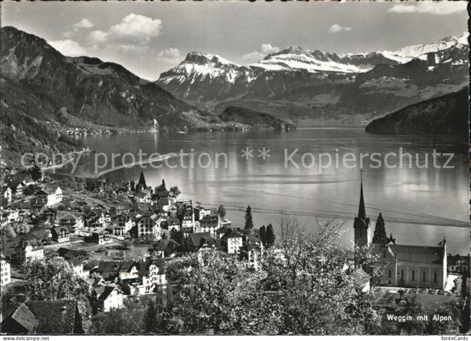 12433379 Weggis Vierwaldstaettersee Alpen Weggis - Other & Unclassified