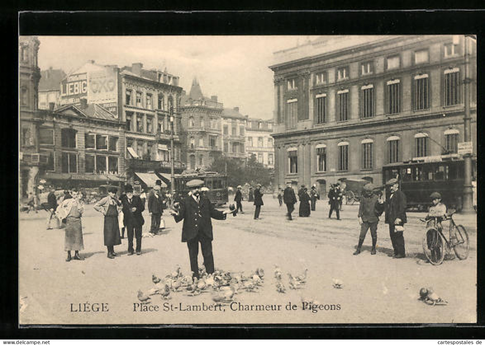 AK Liege, Place St-Lambert, Charmeur De Pigeons, Strassenbahn  - Tramways