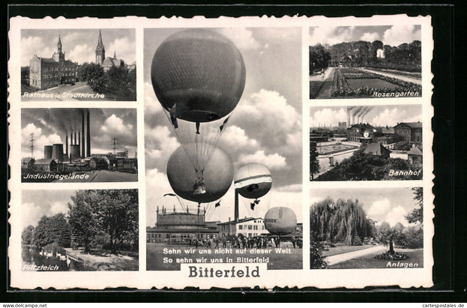 AK Bitterfeld, Rathaus Und Stadtkirche, Ballonwettfliegen, Rosengarten  - Balloons