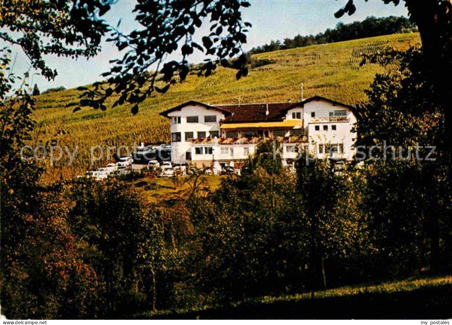 72741906 Umweg Baden Winzerstuben Zum Bocksbeutel Umweg Baden - Baden-Baden