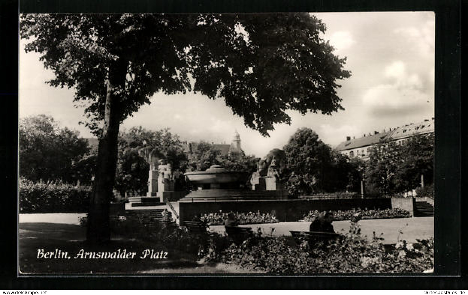 AK Berlin, Arnswalder Platz Mit Brunnen  - Prenzlauer Berg