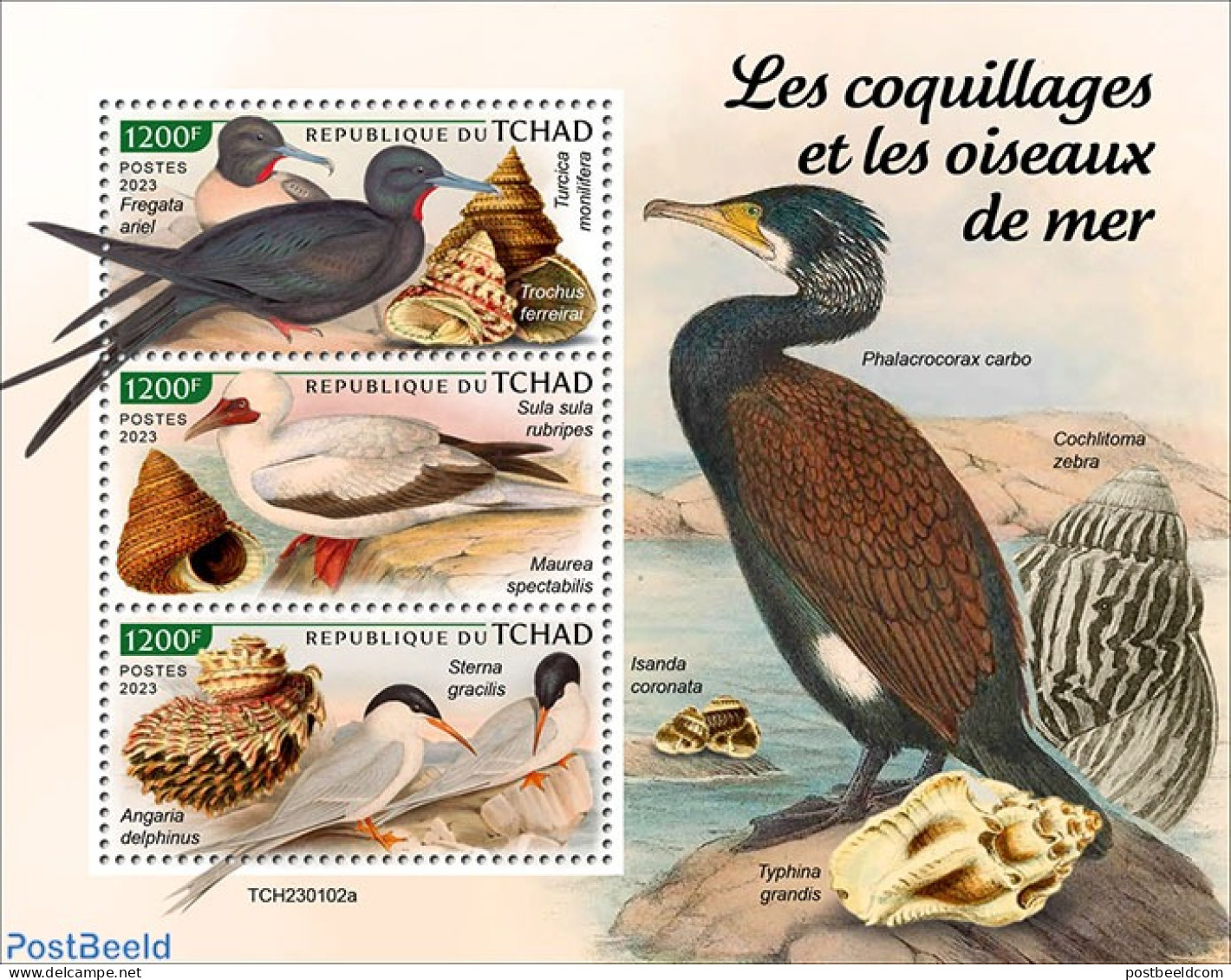 Chad 2023 Shells And Seabirds, Mint NH, Nature - Birds - Shells & Crustaceans - Autres & Non Classés