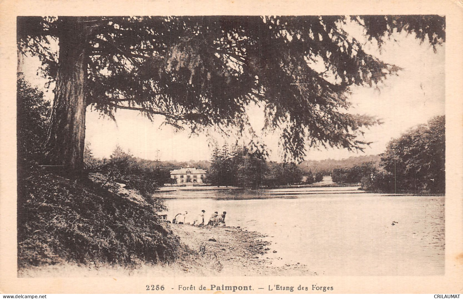 35-PAIMPONT LA FORET-N°5139-A/0173 - Paimpont