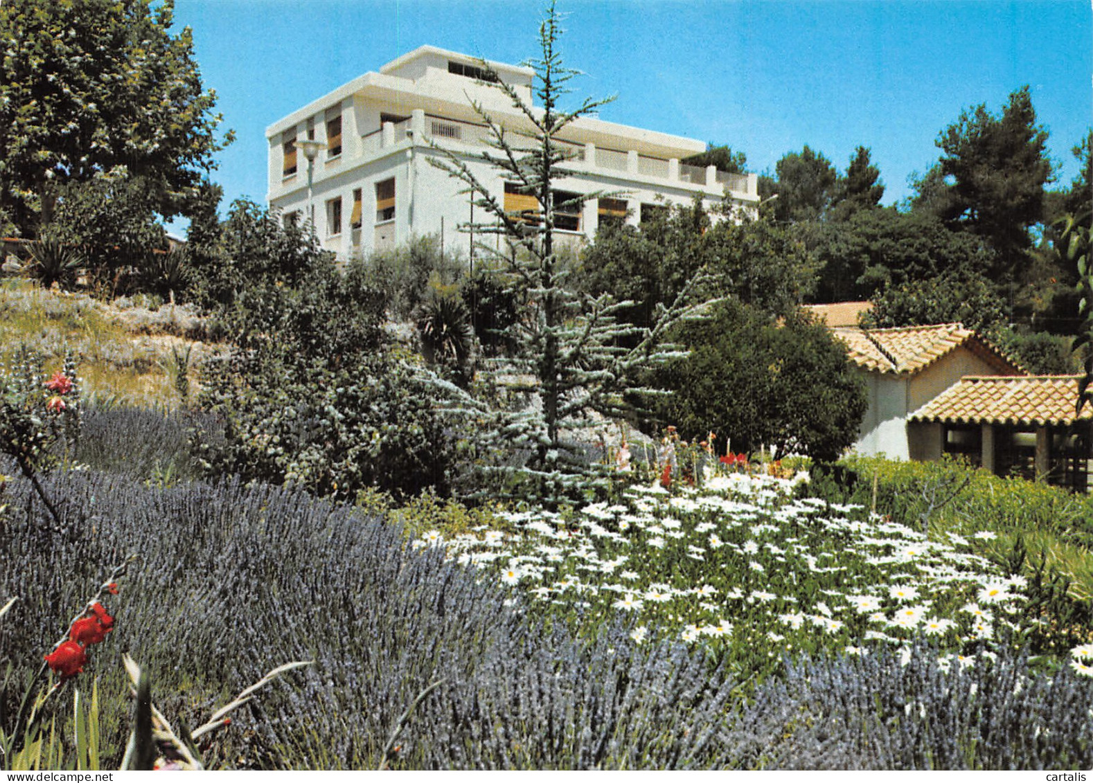 13-AUBAGNE-N°4197-A/0147 - Aubagne