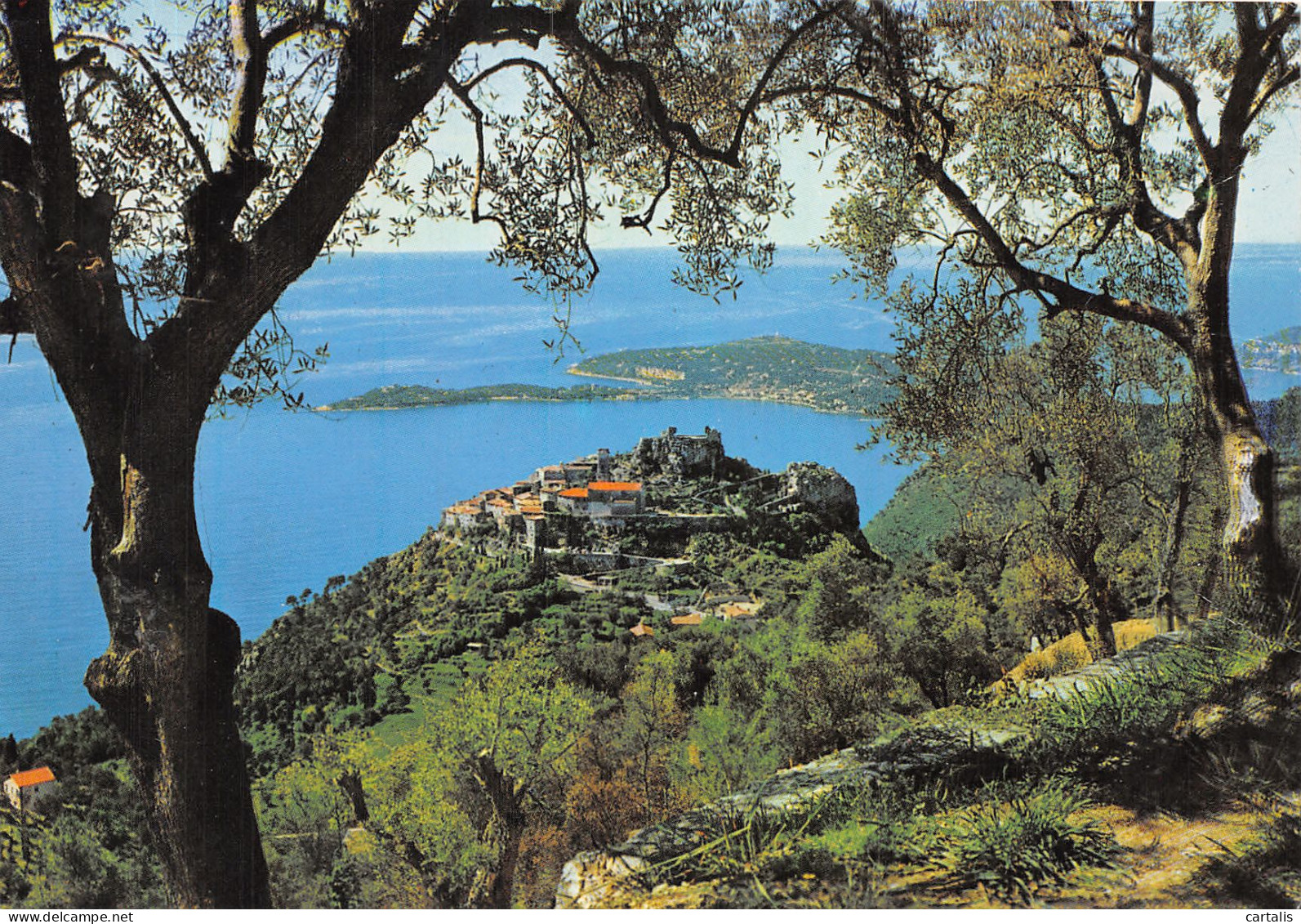 06-EZE-N°4201-A/0207 - Eze