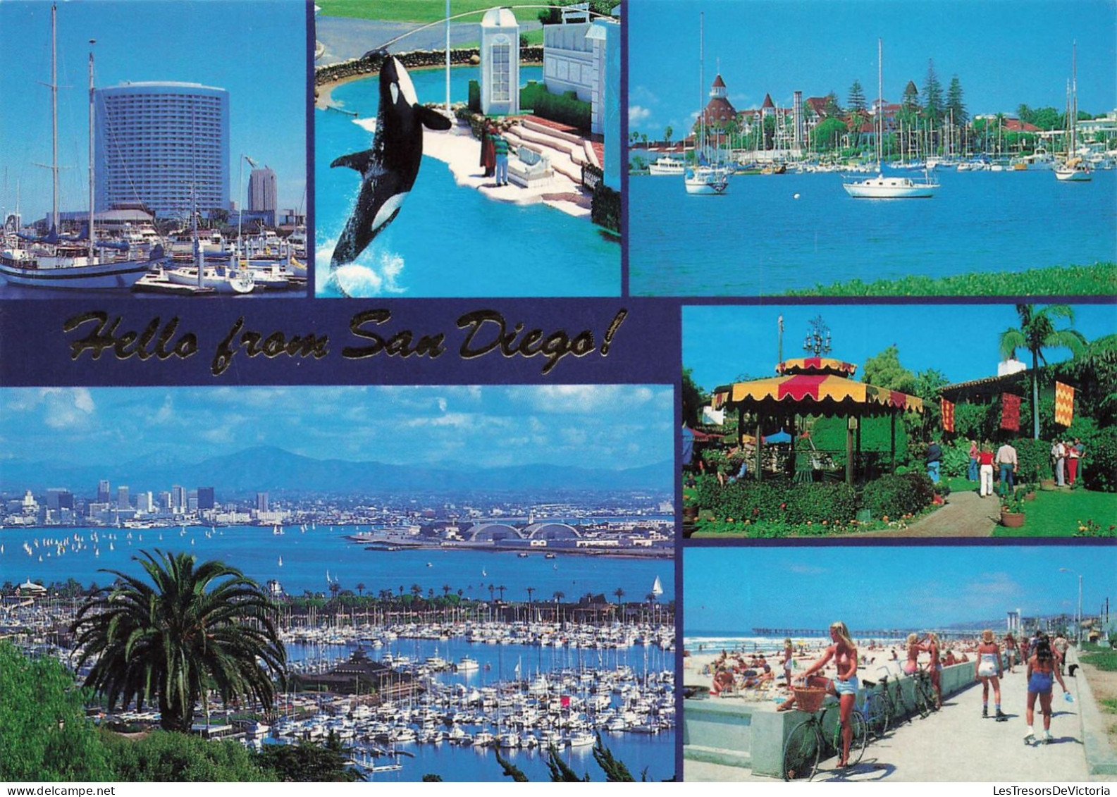 ETATS-UNIS - Hello From San Diego ! - Animé - Multi-vues De Différents Endroits - Carte Postale - San Diego