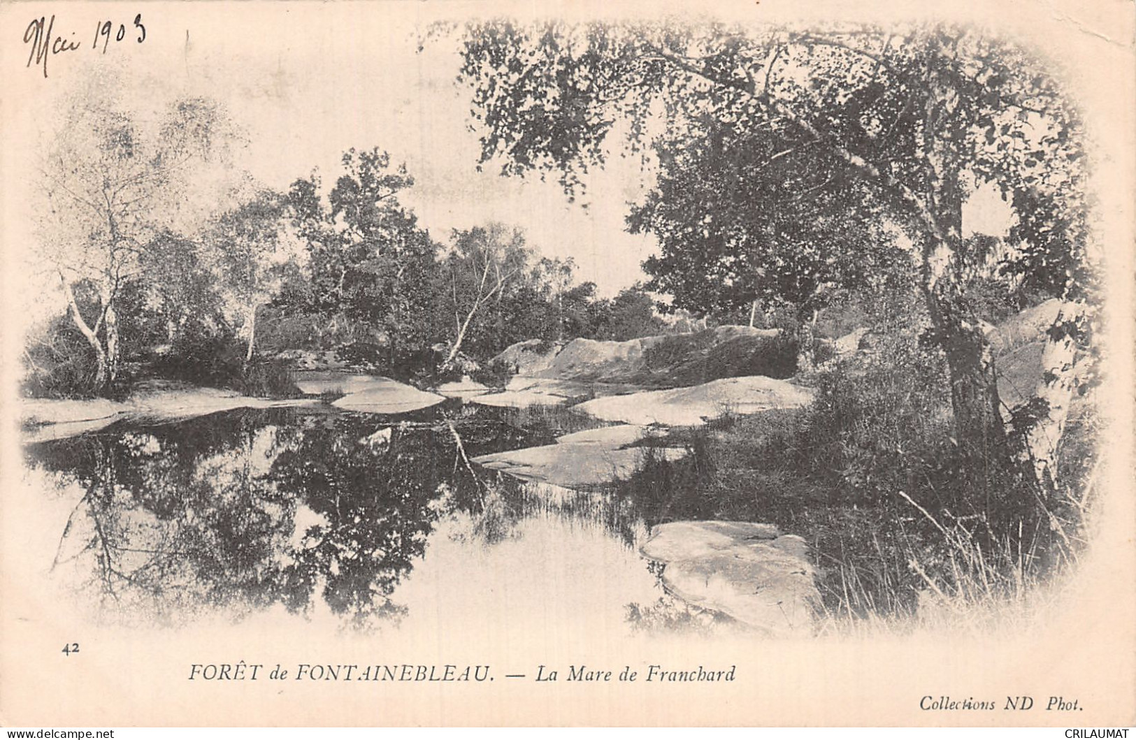 77-FONTAINEBLEAU LA FORET LA MARE DE FRANCHARD-N°5147-H/0045 - Fontainebleau