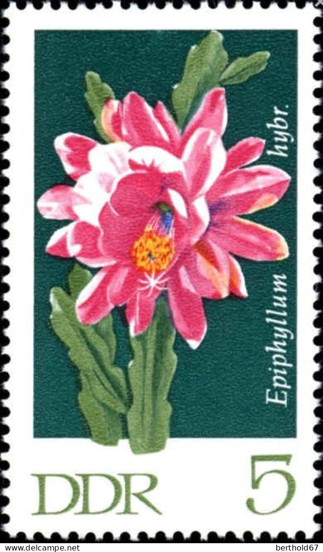 Rda Poste Obl Yv:1316 Mi:1625 Epiphyllum Hybr (TB Cachet Rond) - Gebruikt