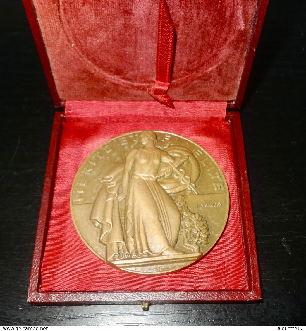 MEDAILLE BRONZE MERITE ET FIDELITÈ - Andere & Zonder Classificatie