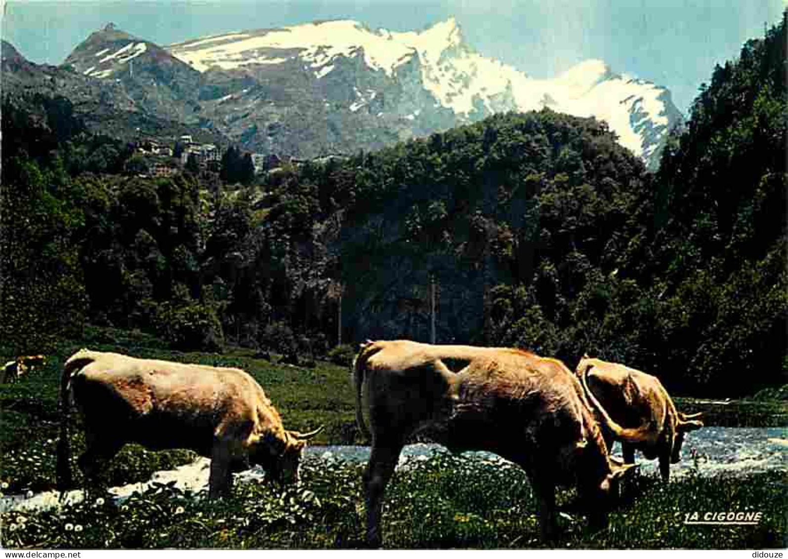 Animaux - Vaches - Pyrénées - Montagnes - CPM - Voir Scans Recto-Verso - Vaches