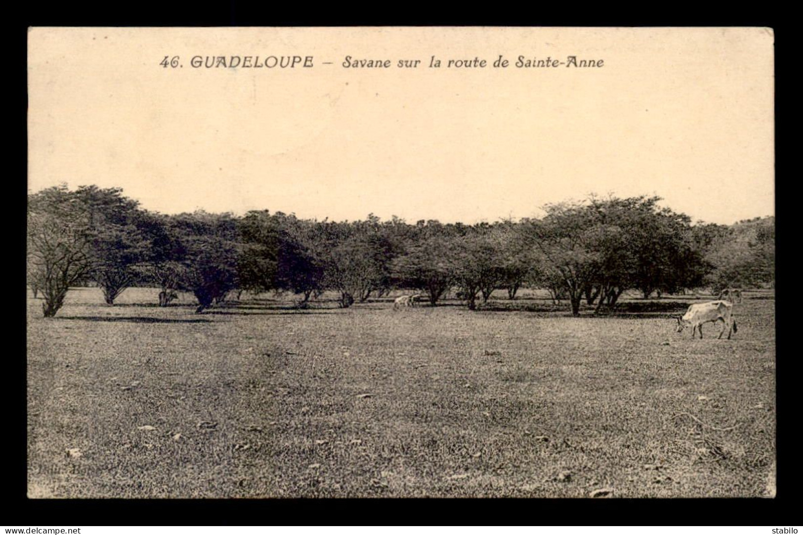 GUADELOUPE - SAVANE SUR LA ROUTE DE STE-ANNE - VOIR TIMBRES - Autres & Non Classés