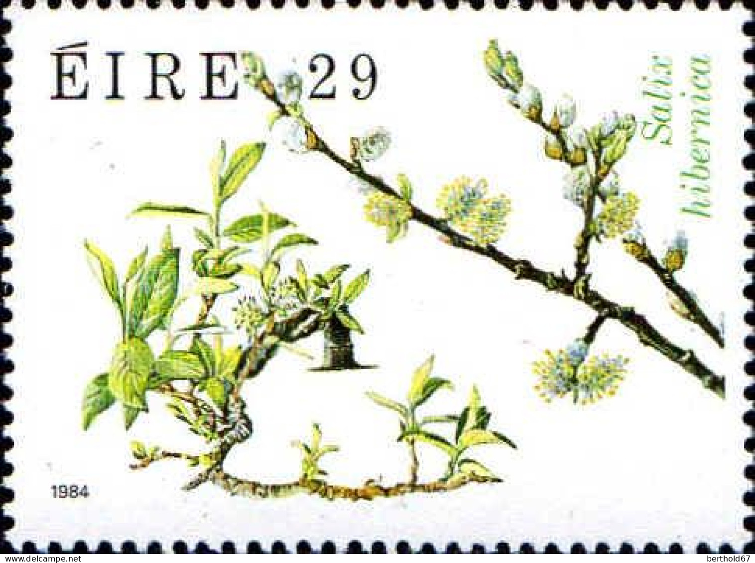 Irlande Poste N** Yv: 535/538 Faune & Flore 7.Serie Arbres - Arbres