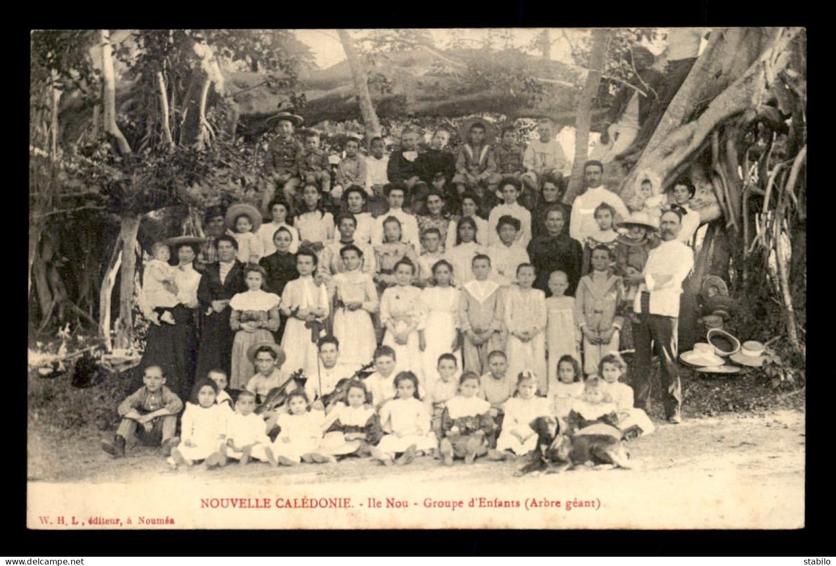 NOUVELLE-CALEDONIE - ILE NOU - GROUPE D'ENFANTS A L'ARBRE GEANT - Nouvelle-Calédonie