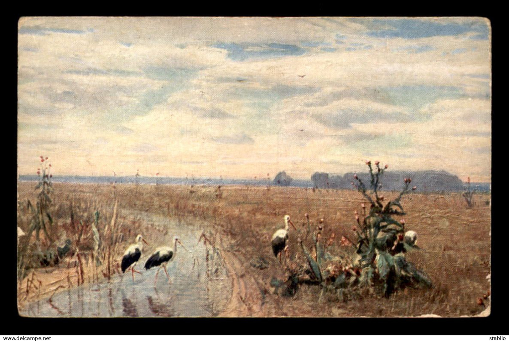 LETTONIE - CIGOGNES AU STEPPE - STORKES IN THE STEPPE - CARTE ILLUSTREE - Lettonie