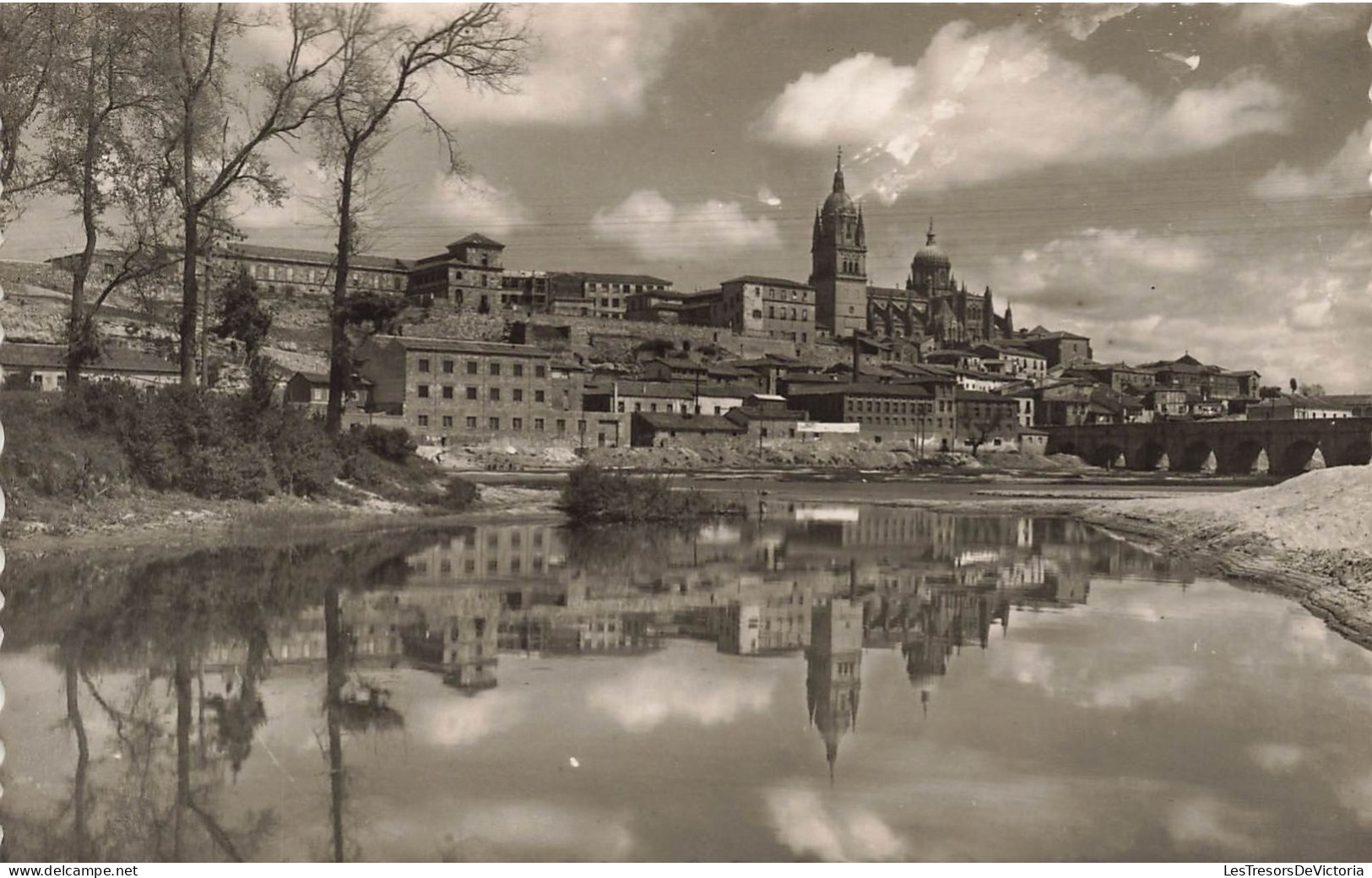 ESPAGNE - Salamanca - La Catedral - Carte Postale - Salamanca