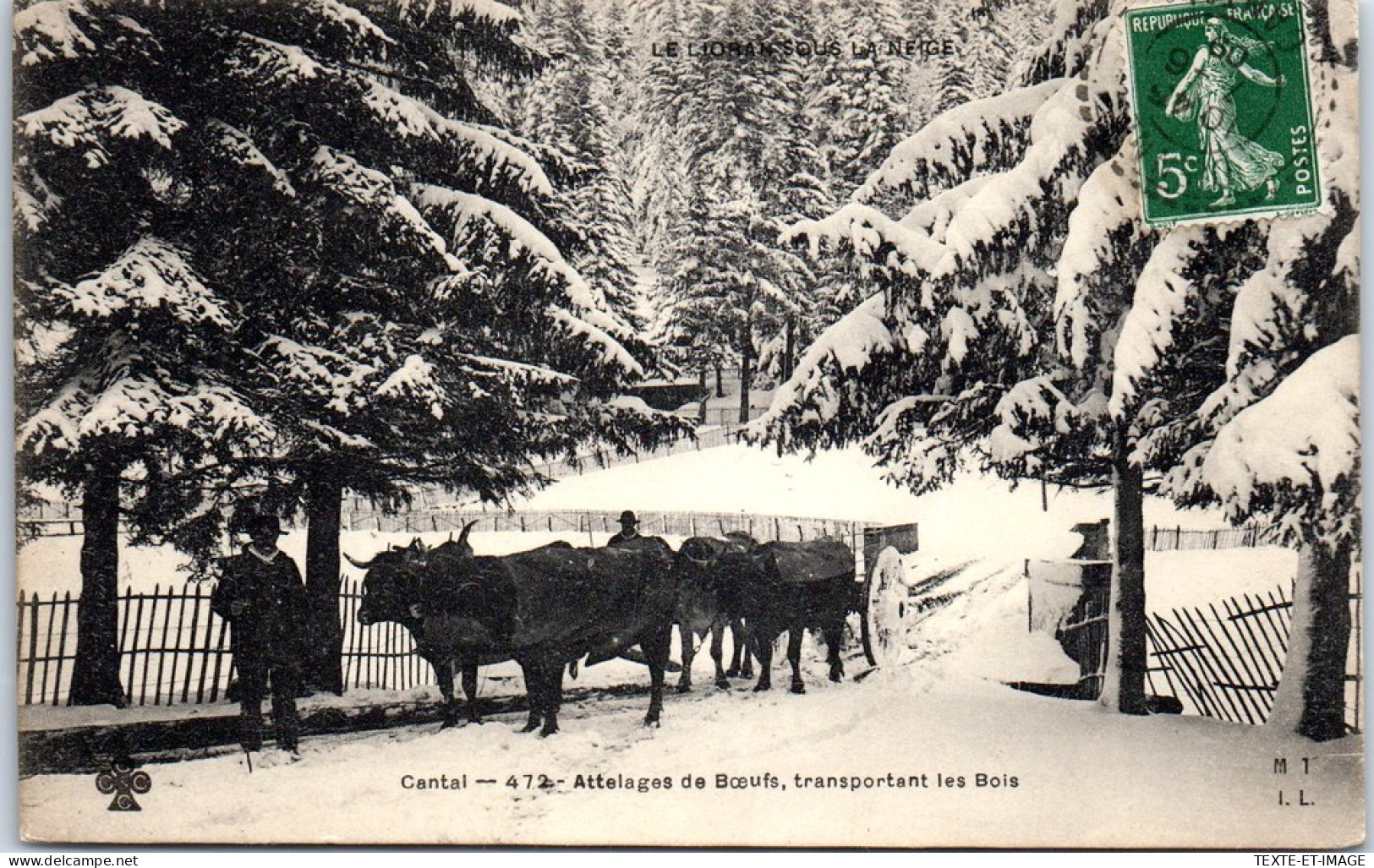 15 Attelage De Bœuf, Transport De Bois Au Cantal. - Sonstige & Ohne Zuordnung