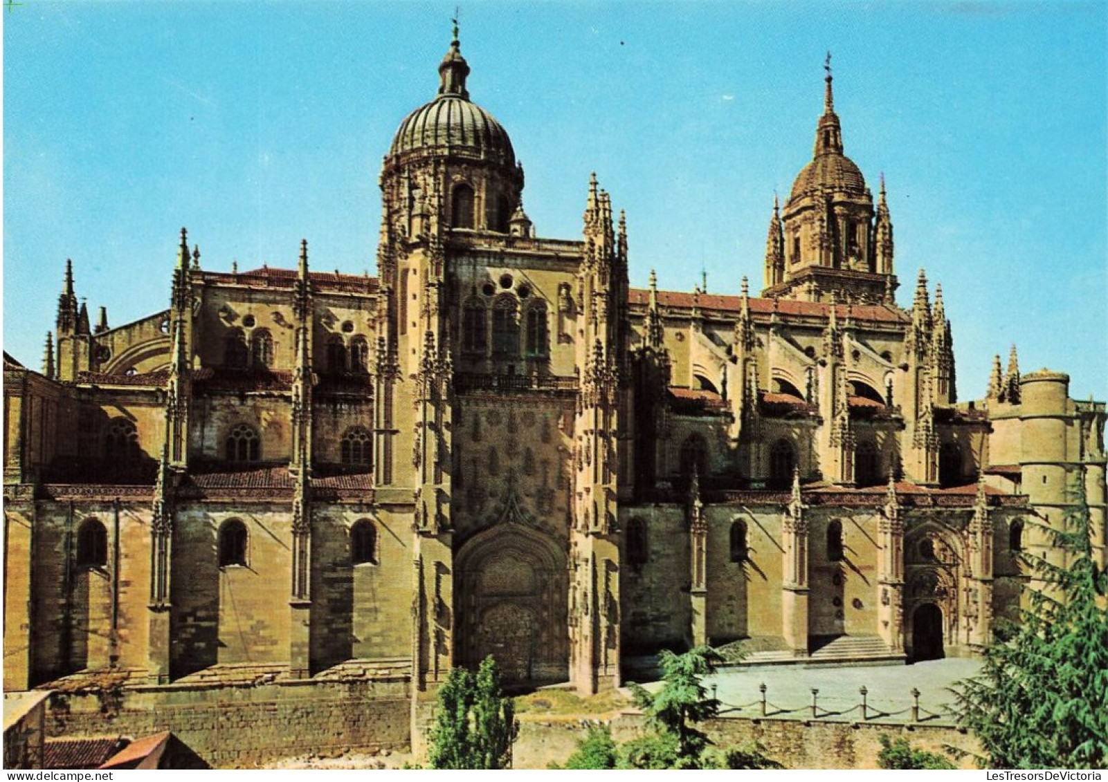 ESPAGNE - Salamanca - La Catedral - Colorisé - Carte Postale - Salamanca