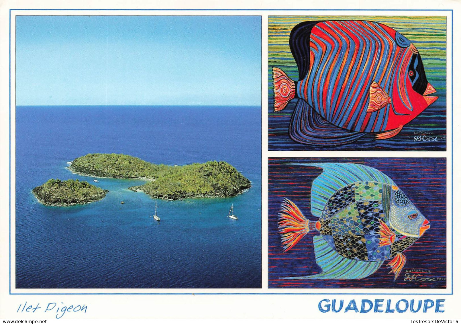 FRANCE - Guadeloupe - Antilles Françaises - Het Pigeon - Multi-vues - Carte Postale - Autres & Non Classés