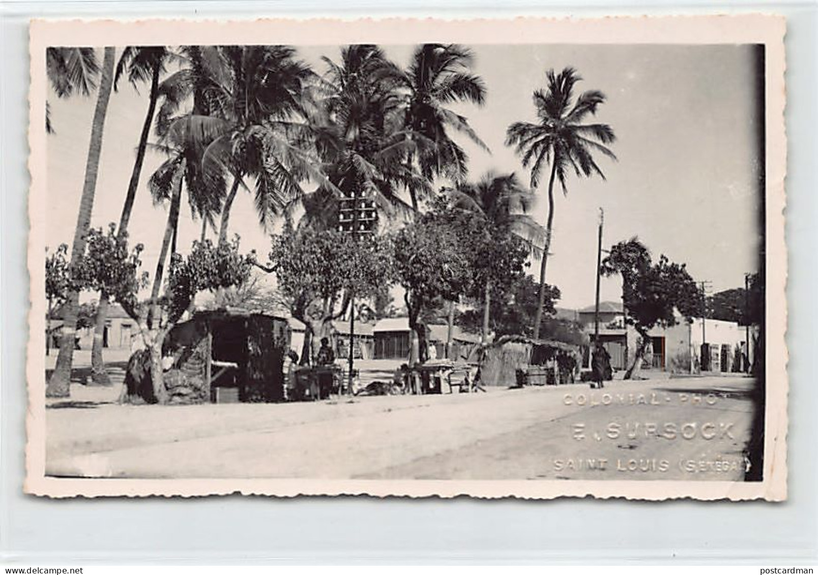 Sénégal - SAINT-LOUIS - Une Avenue - CARTE PHOTO - Ed. E. Sursock  - Senegal