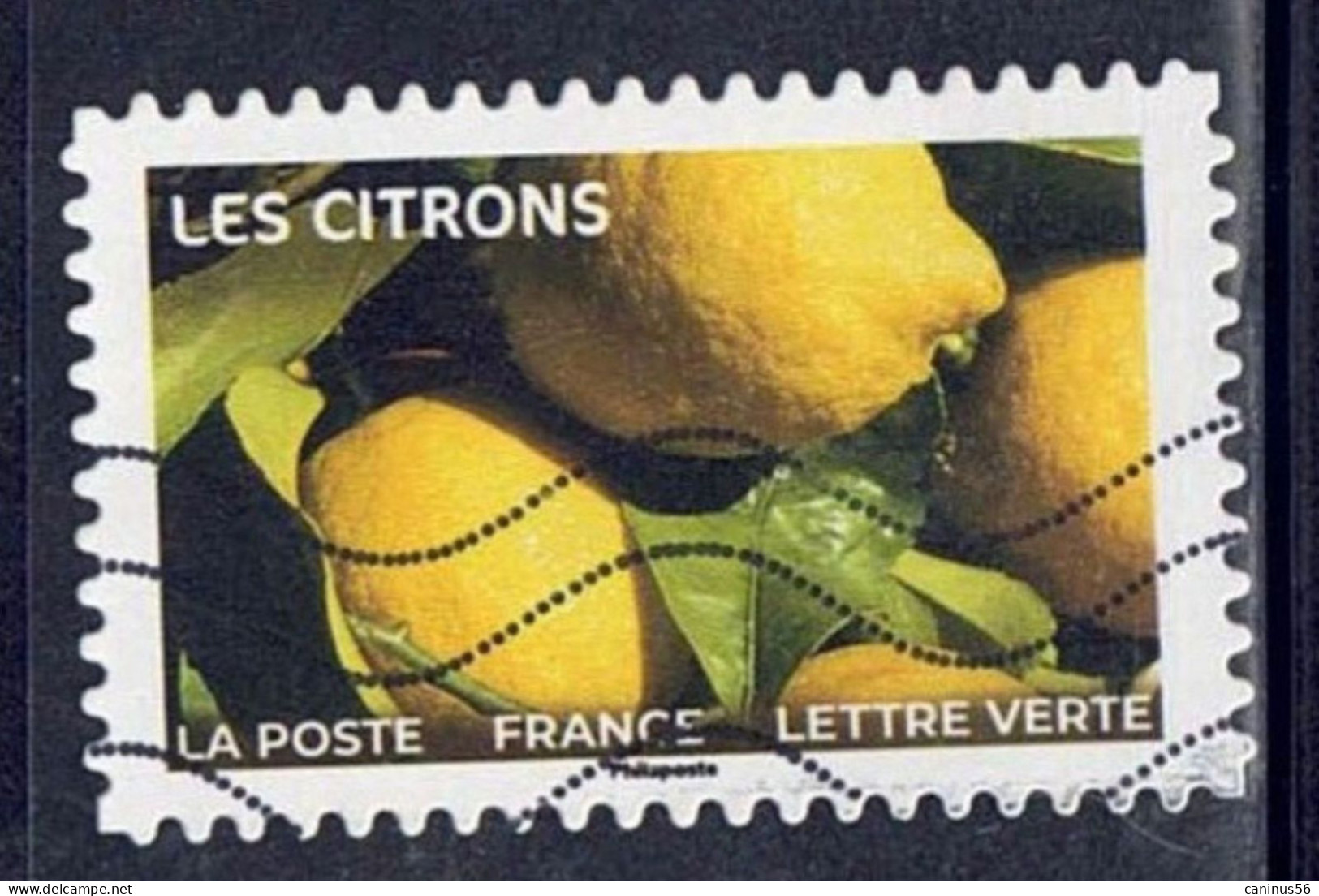 2023 Yt AA 2288  Fruits à Savourer Les Citrons - Gebraucht