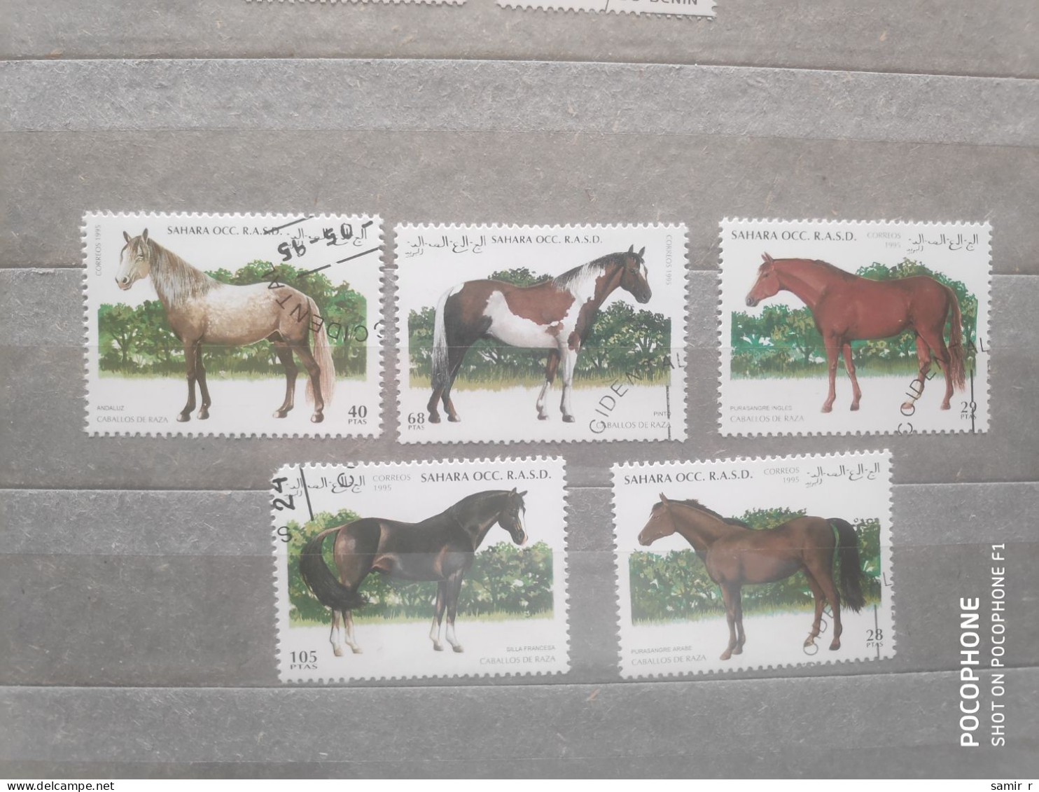 1995	Sahara	Horses (F97) - Autres - Afrique