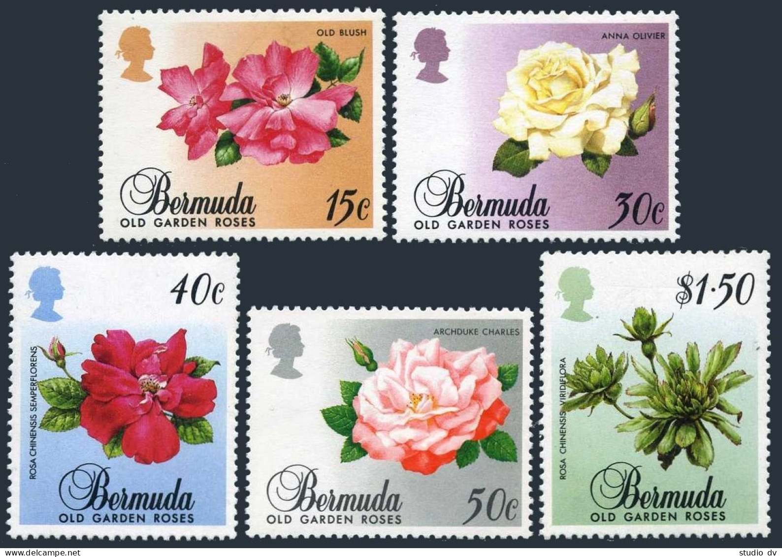 Bermuda 536-540, MNH. Michel 525-529. Old Garden Roses, 1988. - Bermuda